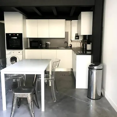 Tres Beau Loft Avec Terrasse Apartment *