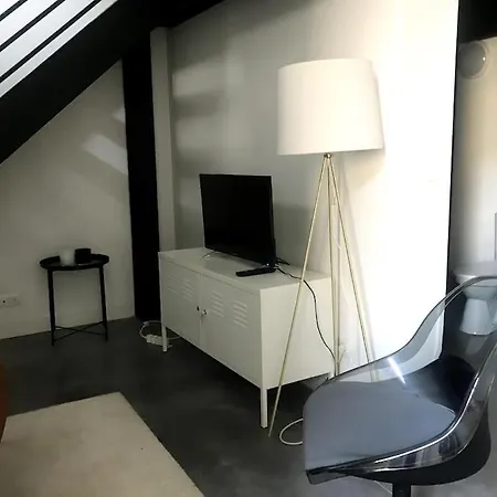 Tres Beau Loft Avec Terrasse Apartment Saint-Etienne (Loire)